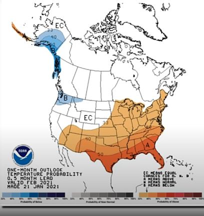 An odd warm February